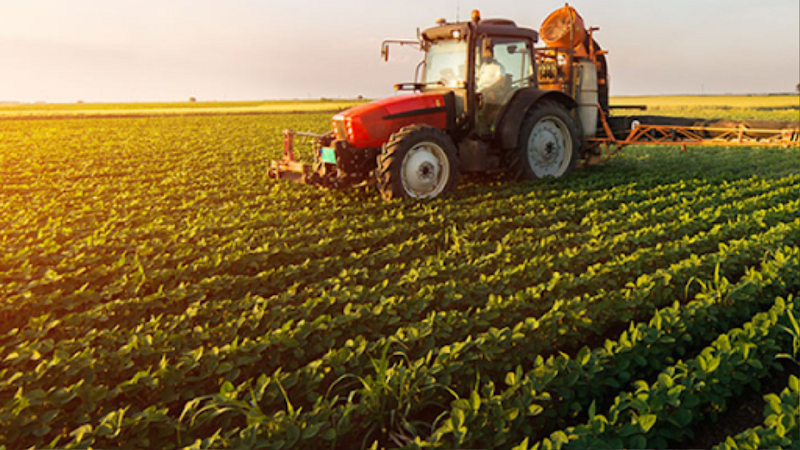   بعد دعم مربي الماشية..   خط تمويل لفائدة صغار الفلاحين لإنجاح موسم الزراعات الكبرى